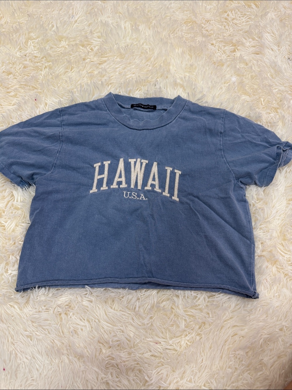 BRANDY MELVILLE HAWAII BLUE CROP TOP